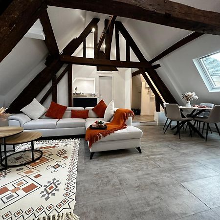Charme, Poutres Et Elegance Apartment ชาร์ตร ภายนอก รูปภาพ